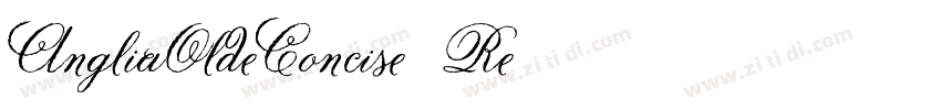 AngliaOldeConcise Re字体转换